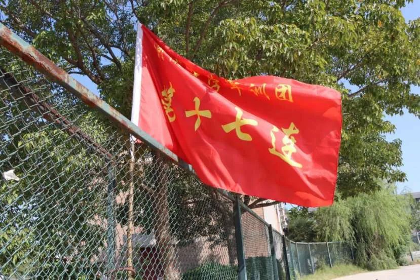 包含冠军热门队伍实力齐聚，争霸意志坚定的词条
