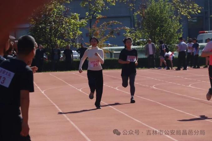 关于波兰队奋勇争先，勇夺决赛资格的信息